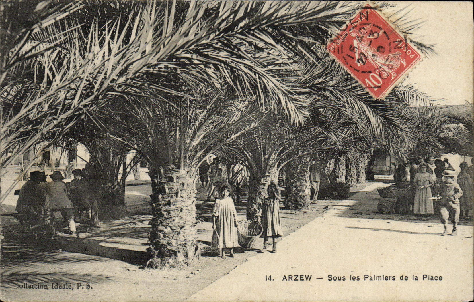 CPA Algerie Arzew Sous les palmiersde laplace 