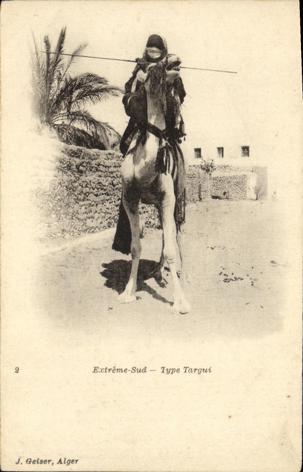 CPA Algerie Extreme Sud Type Targui Chameau 