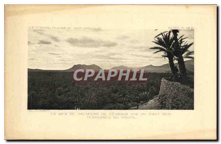 CPA Maroc Sud oranais La mer de palmiers de Zenagua Figuig