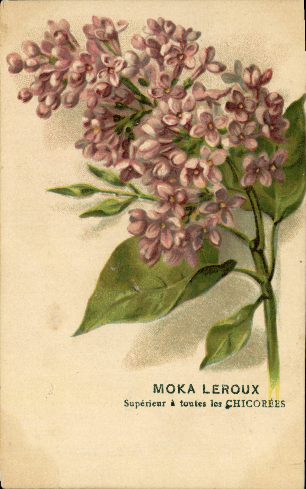 CPA Fantaisie Fleur Moka Leroux Cafe