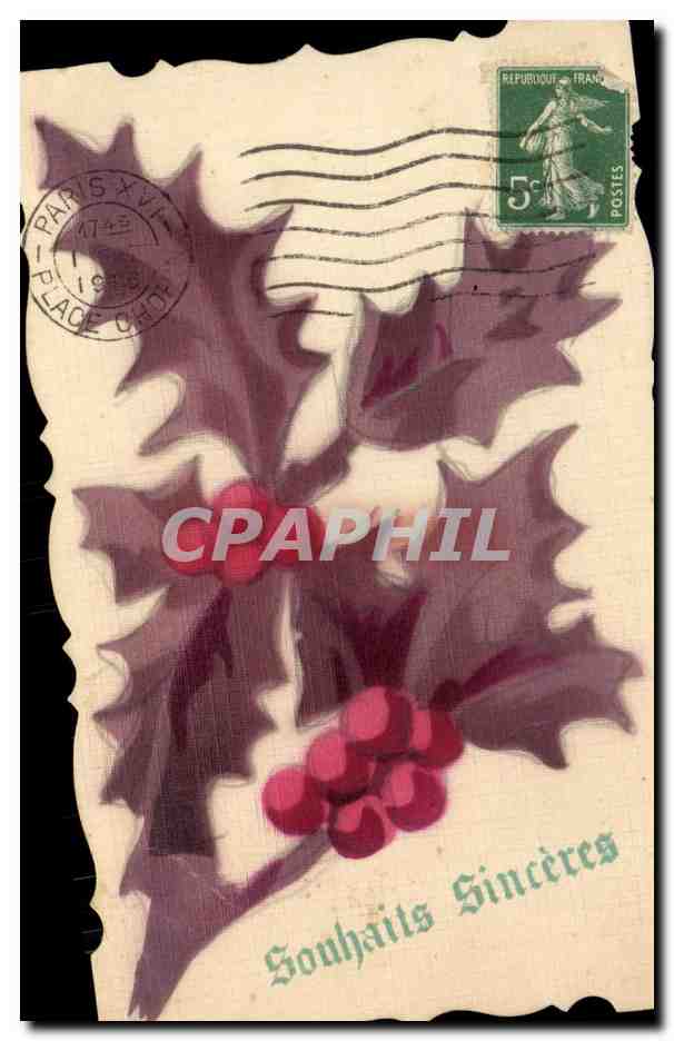 CPA Fantaisie Fleurs 