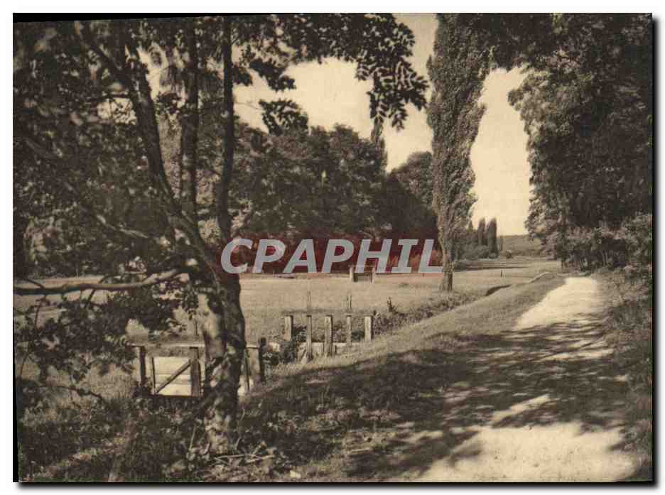 CPA Suisse Basel Motiv im Erlenpark