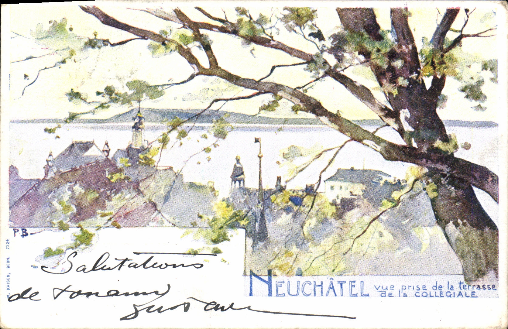 CPA Suisse Neuchatel Vue prise de la terrasse de la collegiale Carte 1898