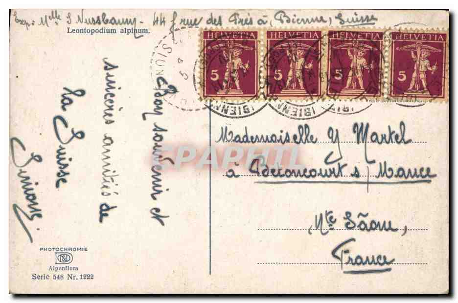 CPA Suisse Leontopodium Alpinum  — Verso