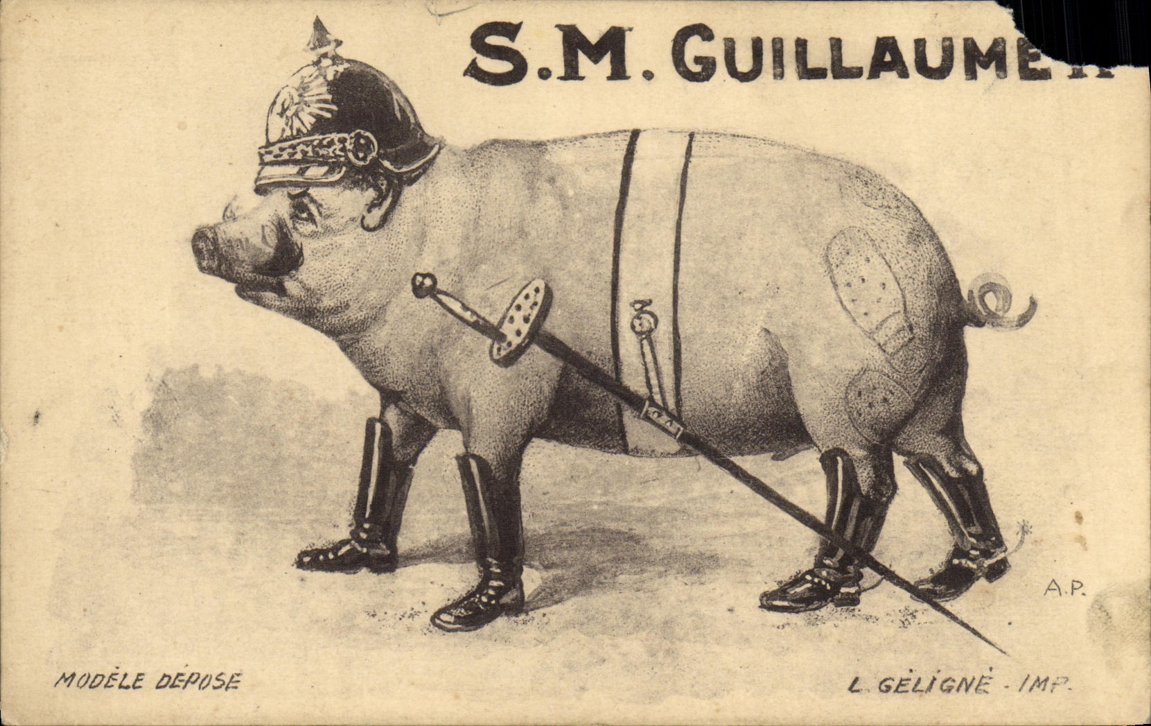 CPA SM Guillaume Cochon Porc