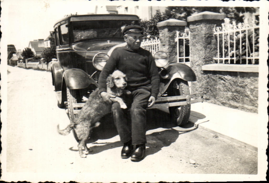 Photo Automobile Chien 