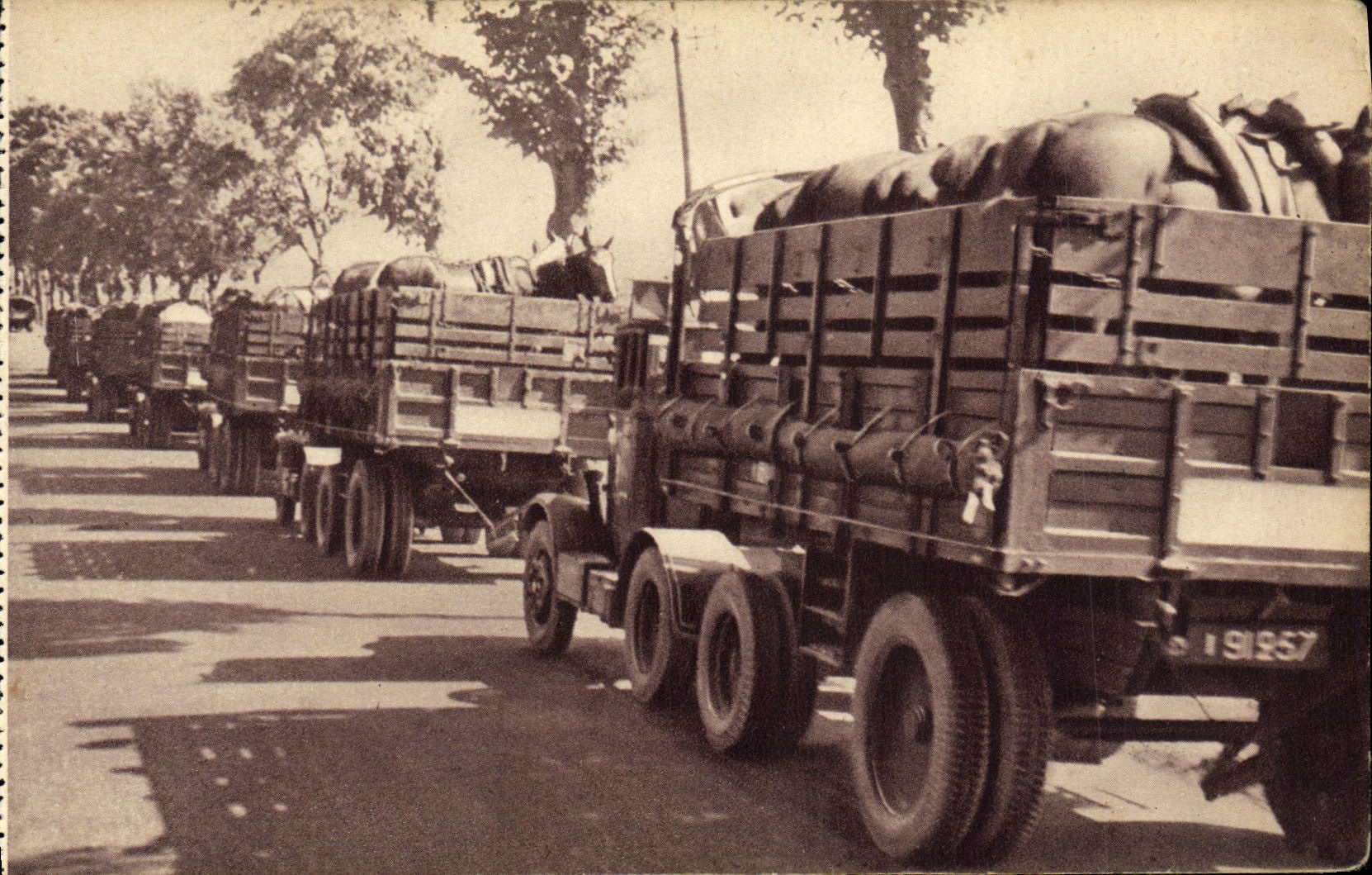 CPA Militaria Train des equipages militaires transport de chevaux 