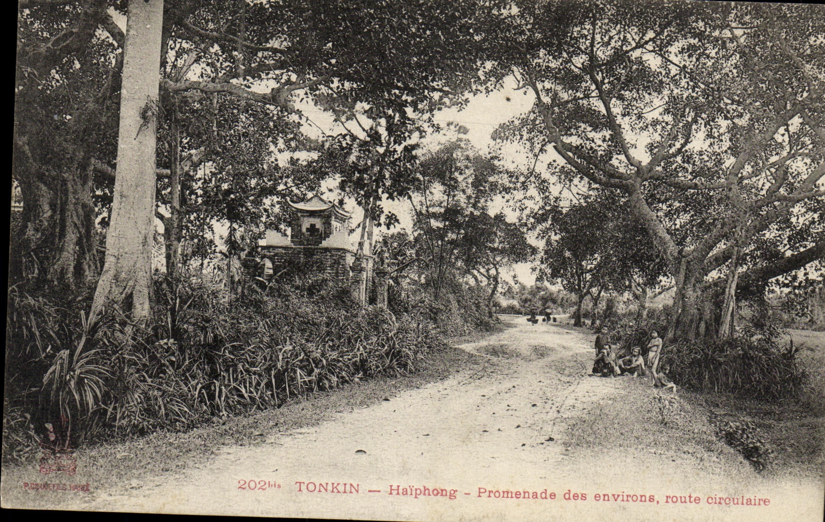 CPA Tonkin Haiphong Promenade des environs route circulaire