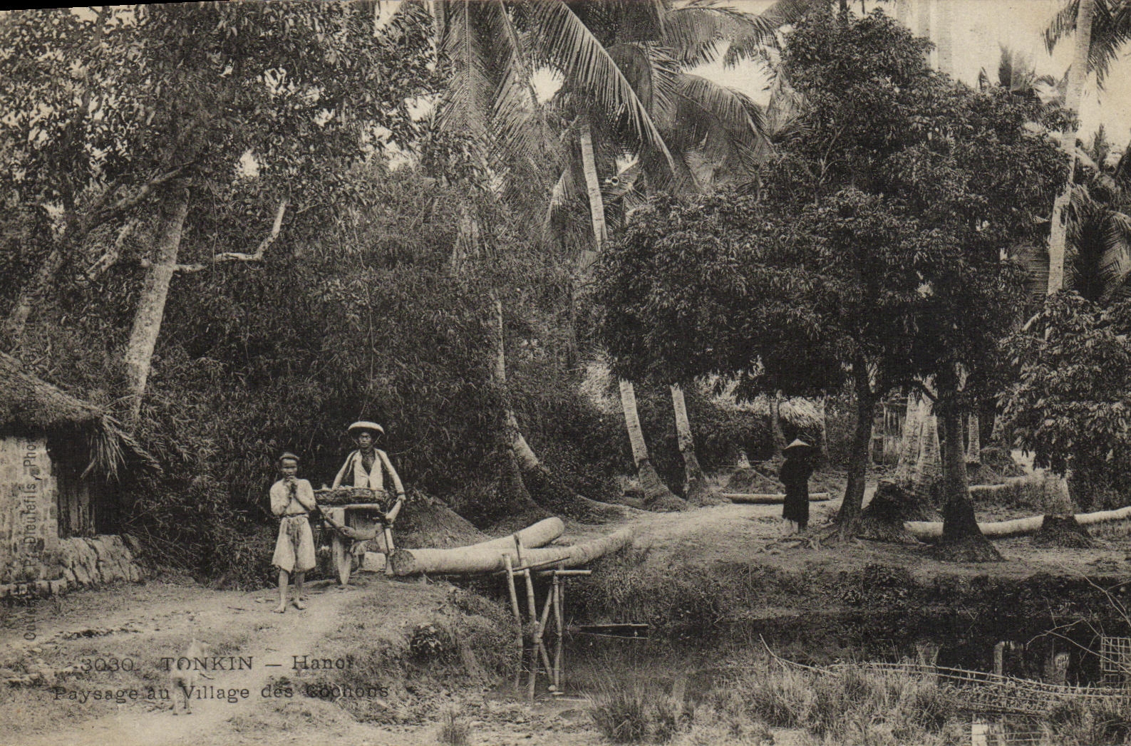 Tonkin - Hanoï — Paysage au Village des Kophors — Éditeur : 3030