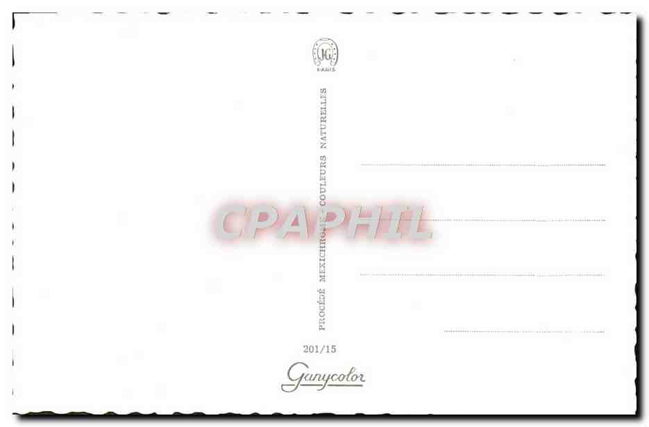CPM Pin Up — Rückseite