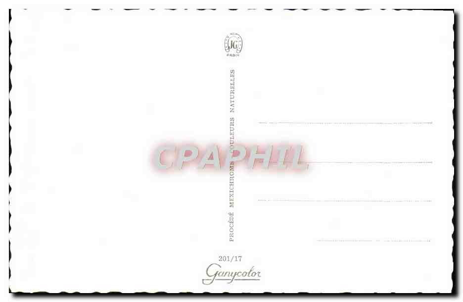 CPM Pin Up — Rückseite