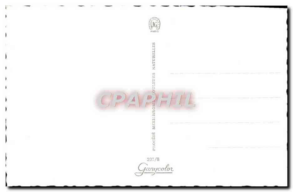 CPM Pin Up — Rückseite