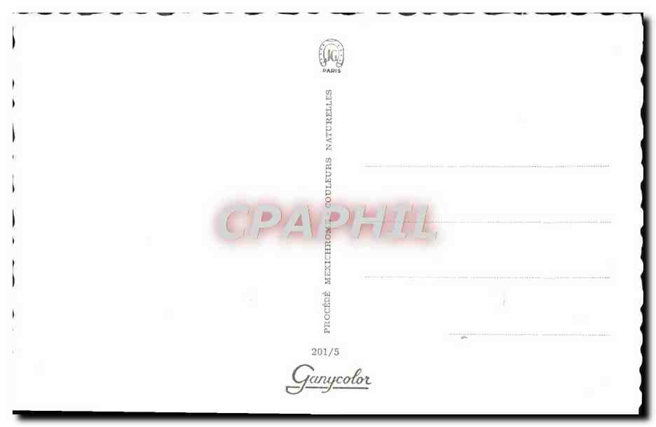 CPM Pin Up — Rückseite
