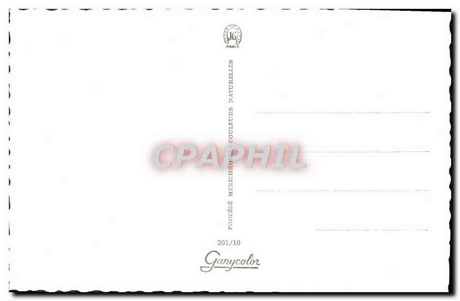 CPM Pin Up — Rückseite