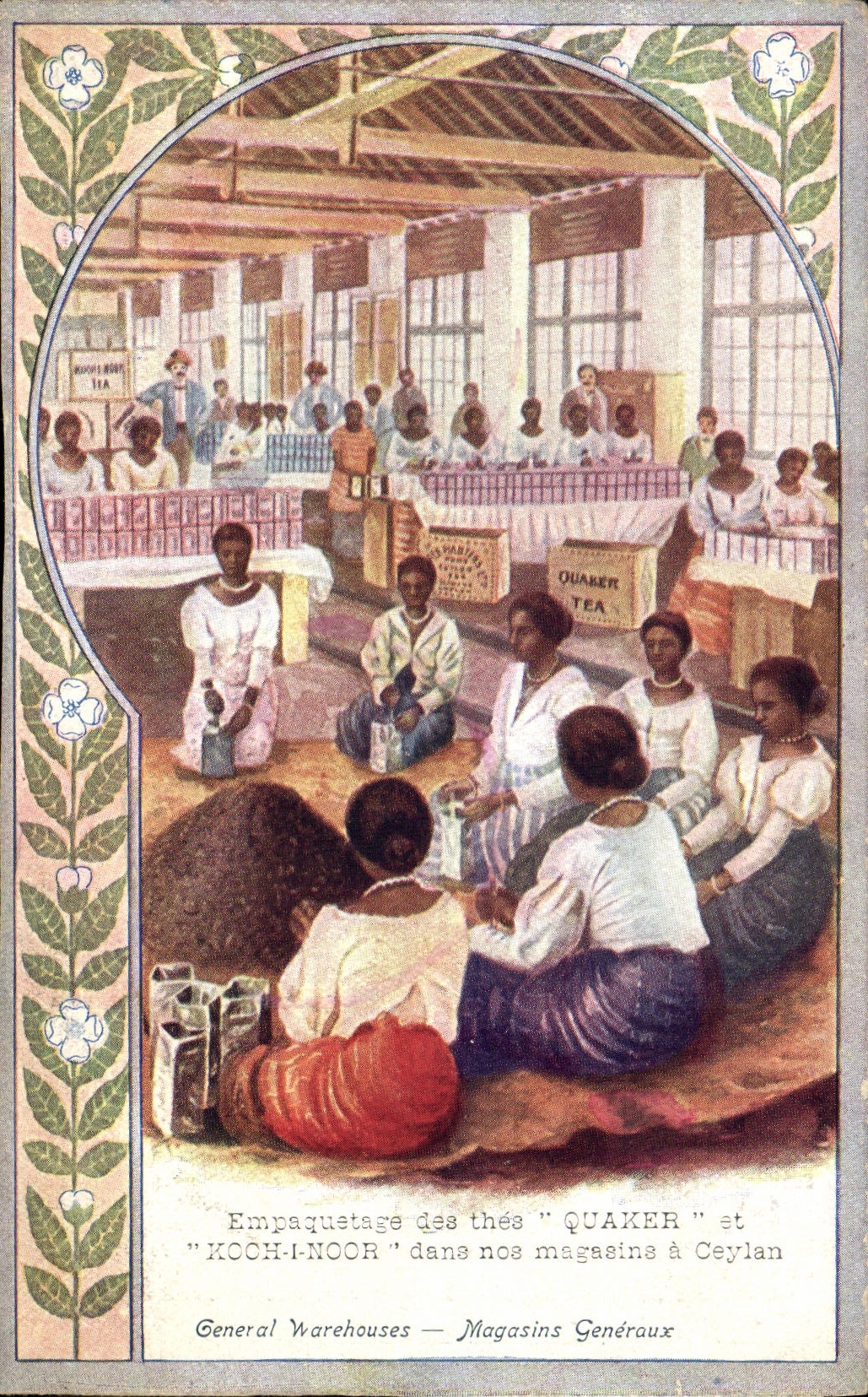 CPA Thes Quaker et Koch I Noor magasins a Ceylan 