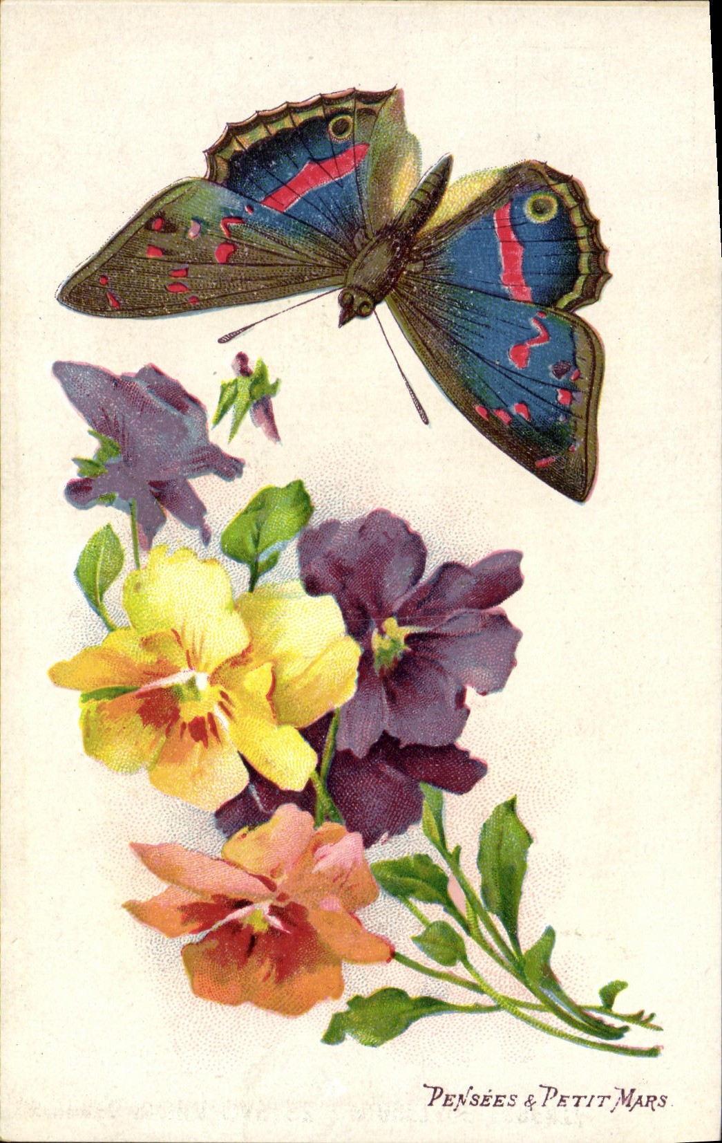CPA Fantaisie Fleurs Papillon Pensees et Petit Mars 
