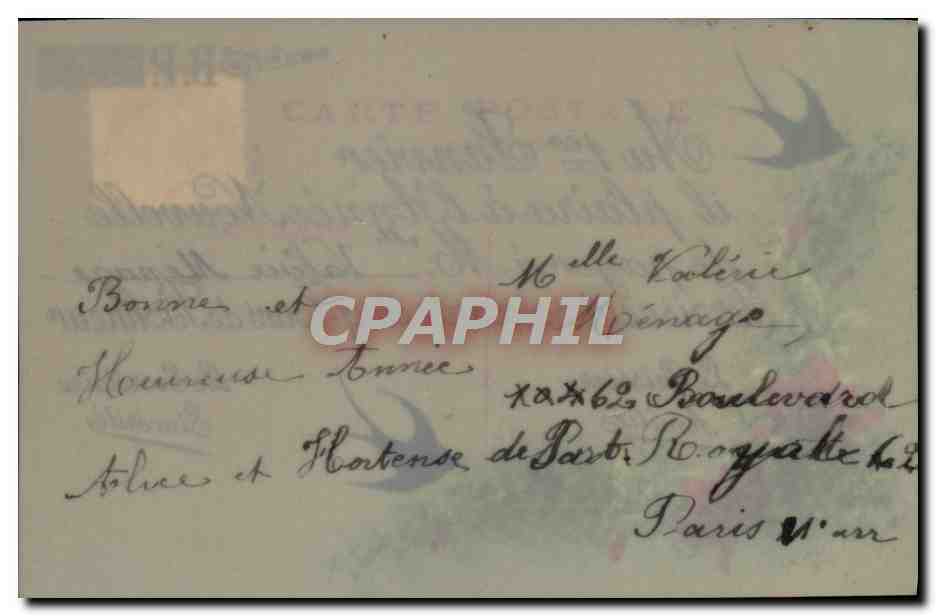CPA Fantaisie Fleurs (decor a la main) Hirondelles — Verso