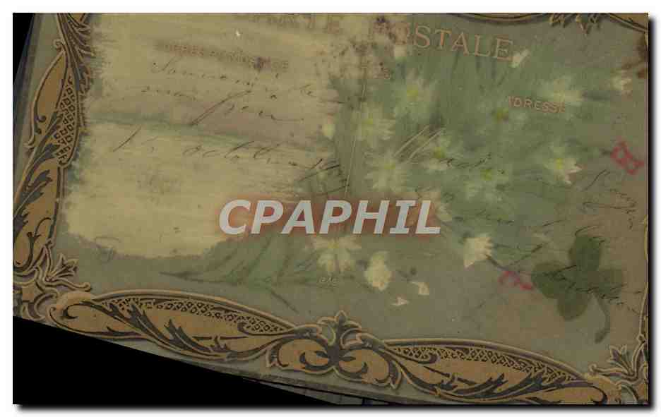 CPA Fantaisie Fleurs (decor a la main) — Verso
