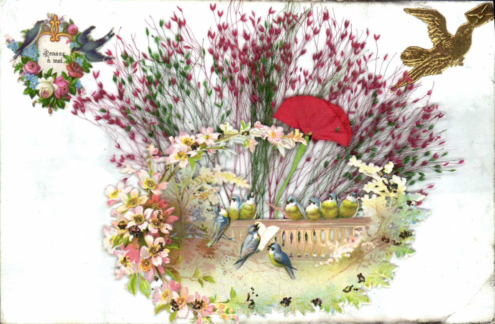 Pensez à moi — décor floral et oiseaux — éditeur inconnu