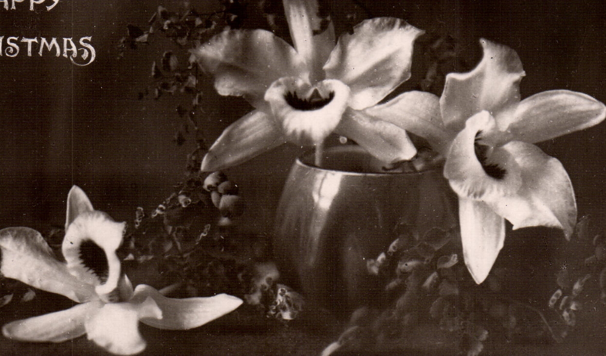 CPA Fantaisie Fleurs Noel