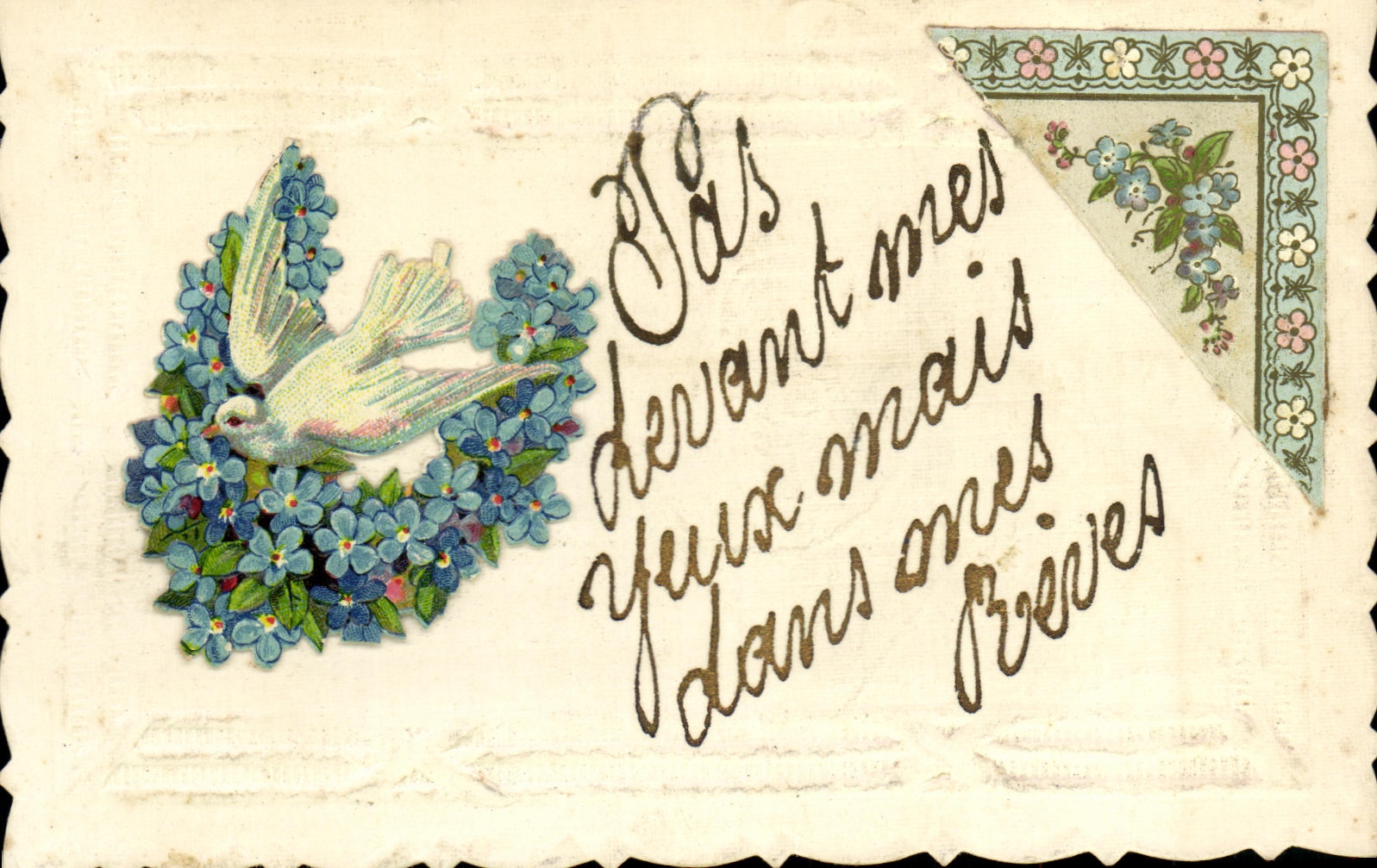 Colombe au milieu de fleurs — texte manuscrit — Carte postale française