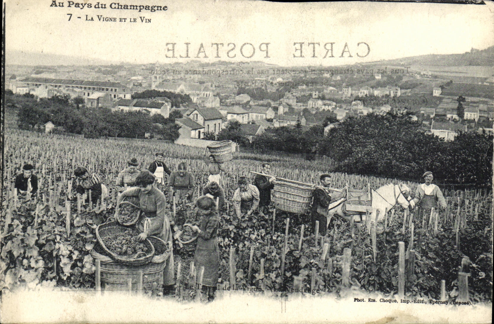 CPA Au pays du Champagne La vigne et le vin Epernay