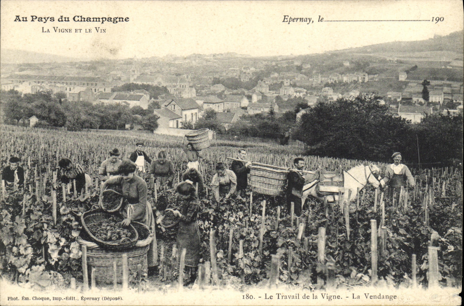 CPA Au pays du Champagne La vigne et le vin Epernay