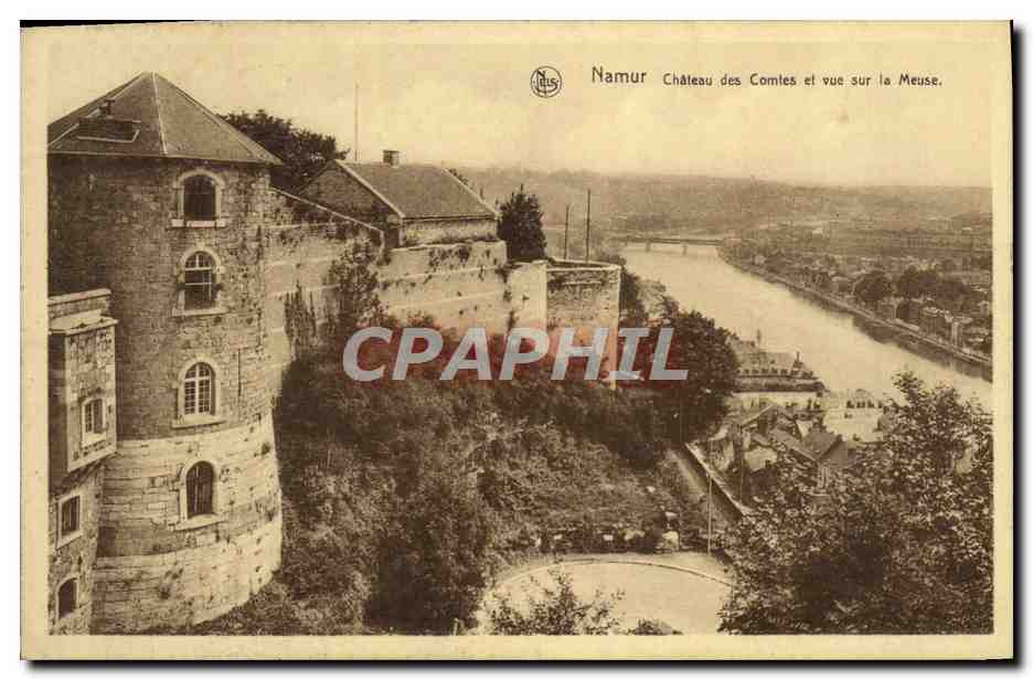 CPA Namur Chateau des Comtes et vue sur la Meuse