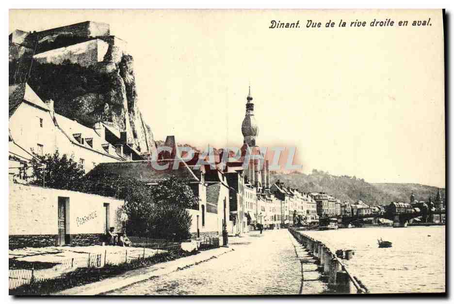 CPA Dinant Vue de la rive droite en aval 