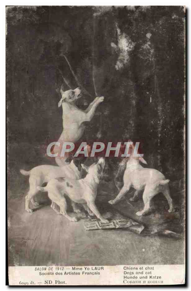 CPA Salon 1912 Mme Yo Laur Chiens et chat 