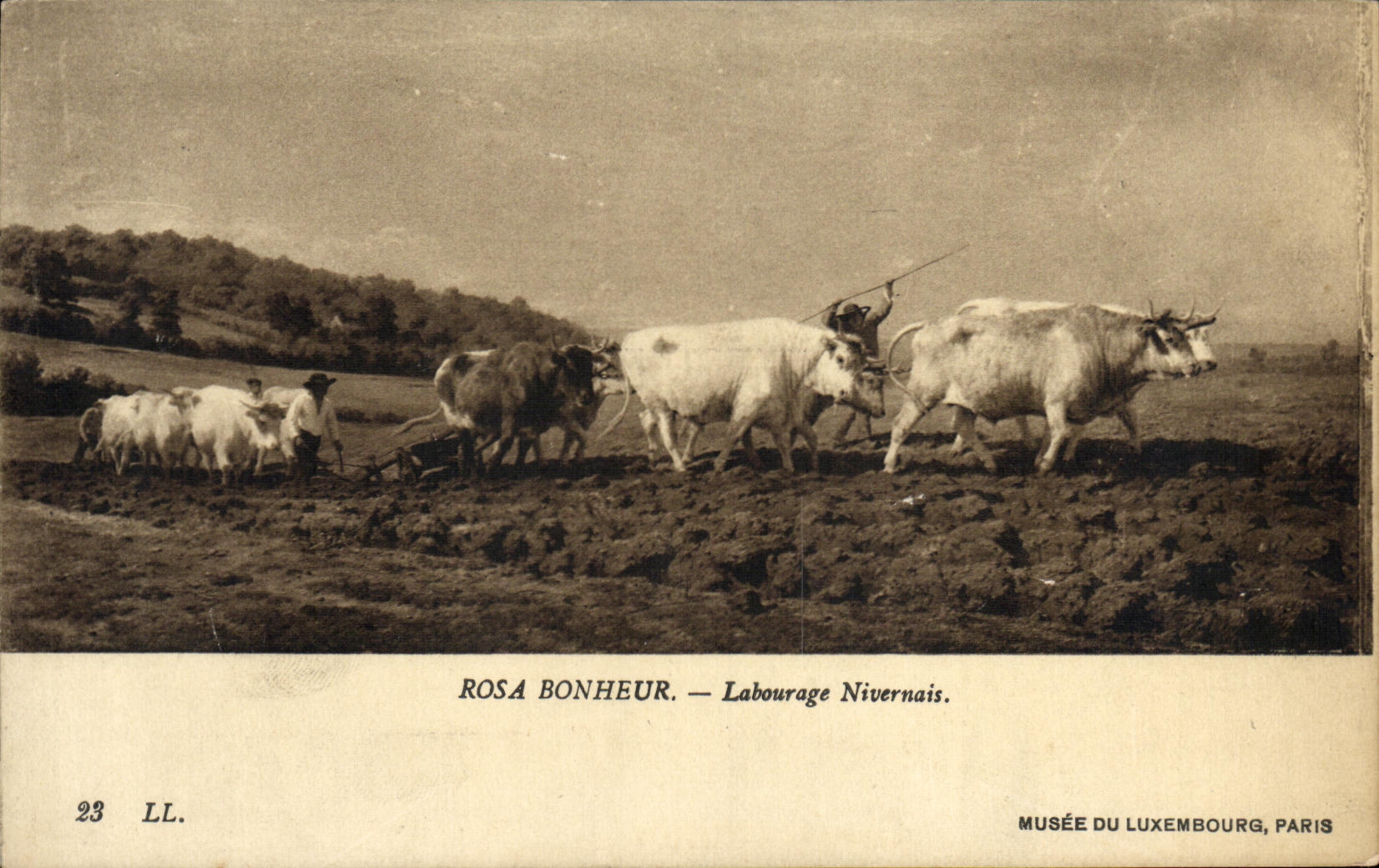 CPA Rosa Bonheur Labourga eNivernais Musee du Luxembourg Boeufs