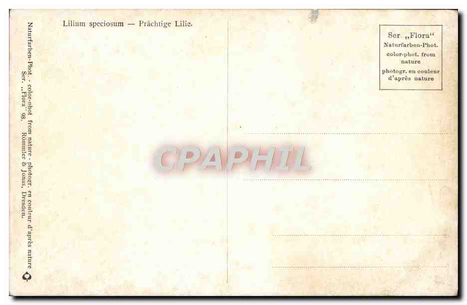 CPA Fantaisie Fleurs  — Rückseite