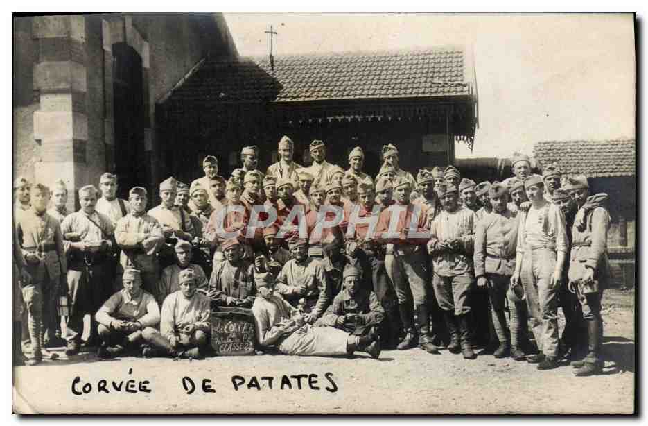 CARTE PHOTO Corvee de patates Militaria 