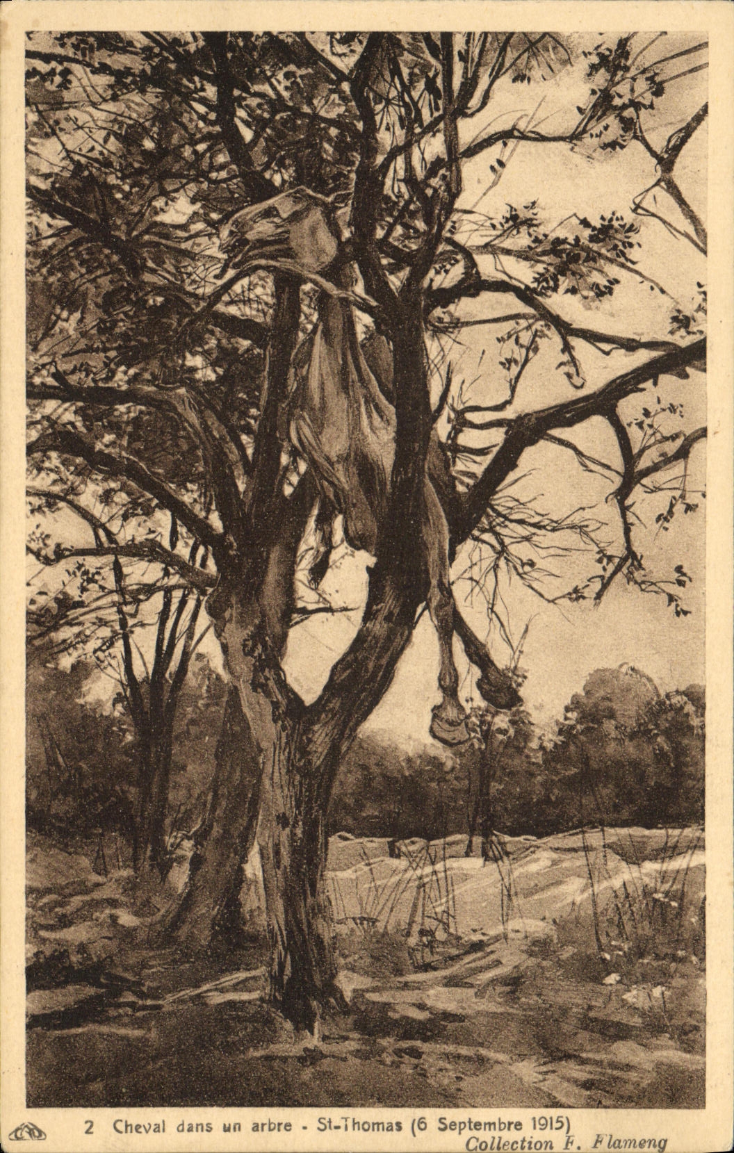 CPA Cheval dans un arbre St Thomas 1915 Militaria 