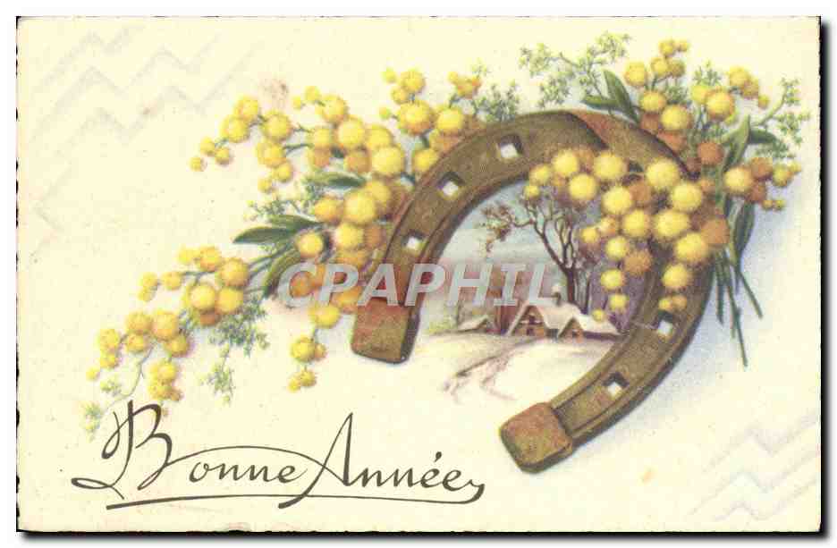 CPA Fantaisie Fleurs Fer a cheval 