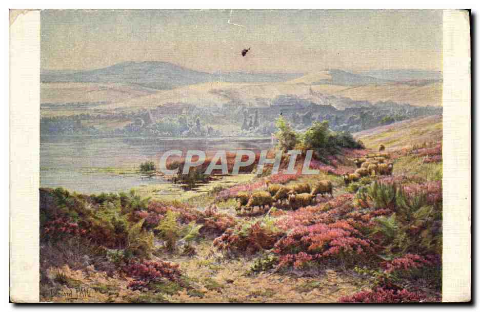 CPA Pail L'etang aux bruyeres