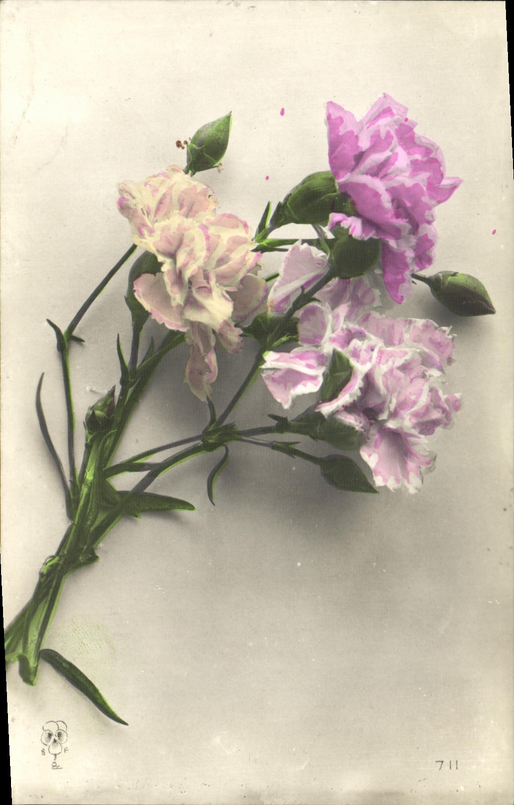 CPA Fantaisie Fleurs 