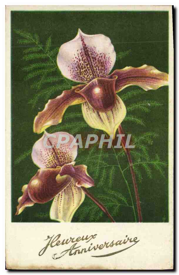 CPA Fantaisie Fleurs 