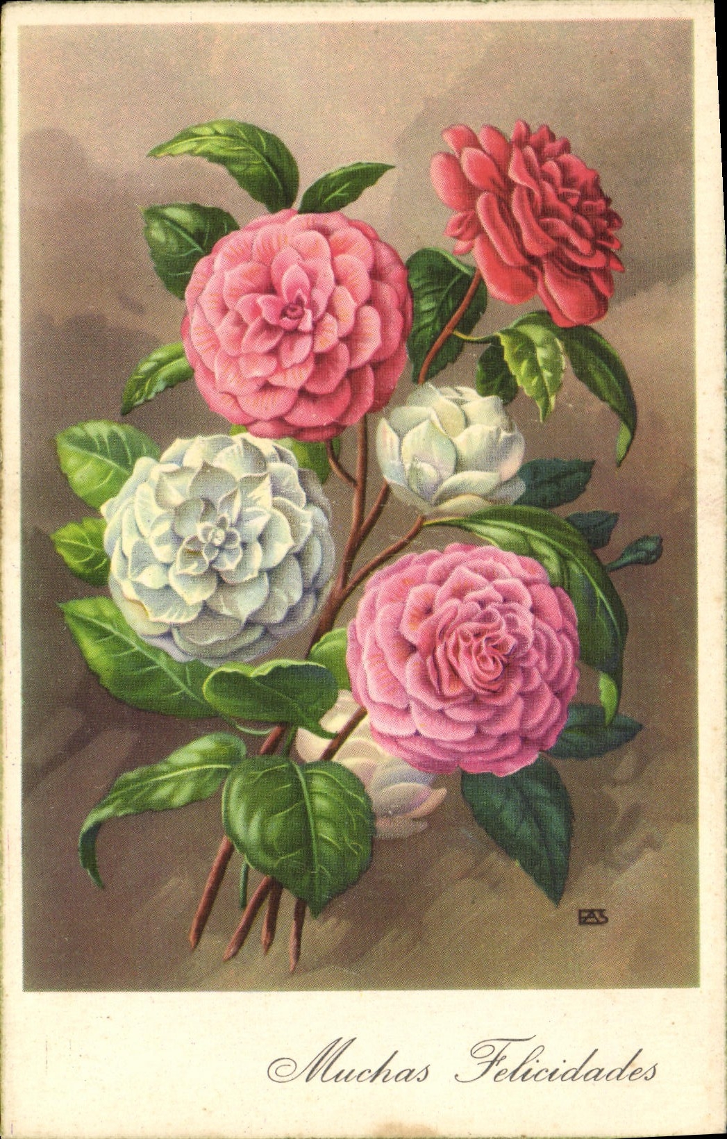 CPA Fantaisie Fleurs