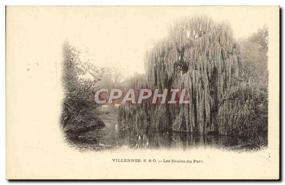 CPA Villennes Les saules du parc