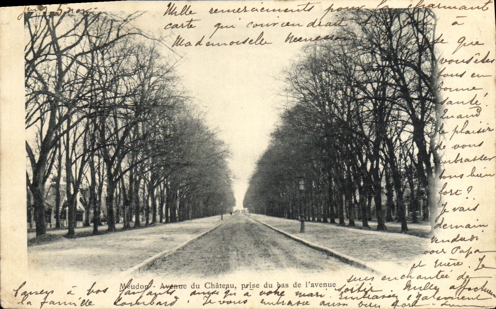 CPA Meudon Avenue du Chateau prise du bas de l'Avenue 