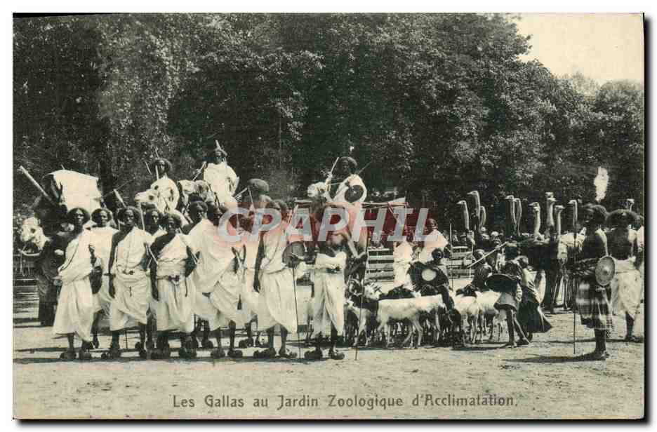 The Gallas at the Jardin Zoologique d'Acclimatation — unidentified edition