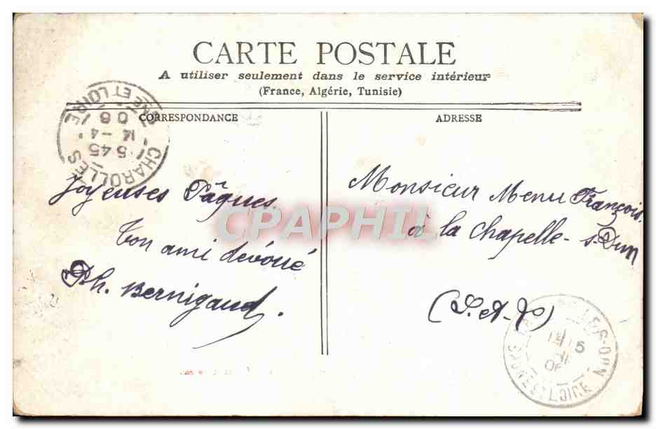 CPA Chameau et Dromadaire Sahara Paris  — Rückseite