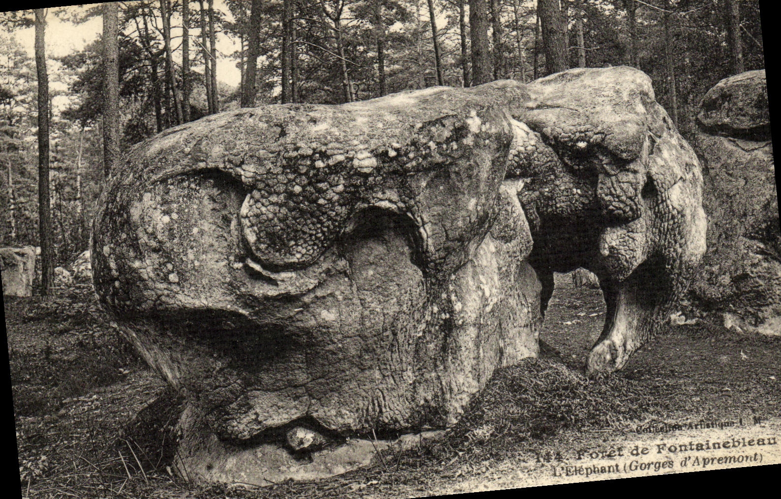 L'Elefante (Gorges d'Apremont) — roccia scolpita a forma di elefante nella foresta — Collezione Archeologica L. M.