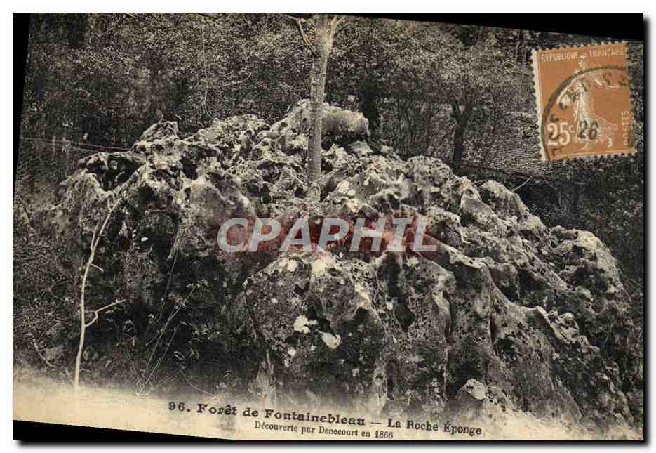 Wald von Fontainebleau — La Roche Éponge — Entdeckt von Denscourt im Jahr 1886