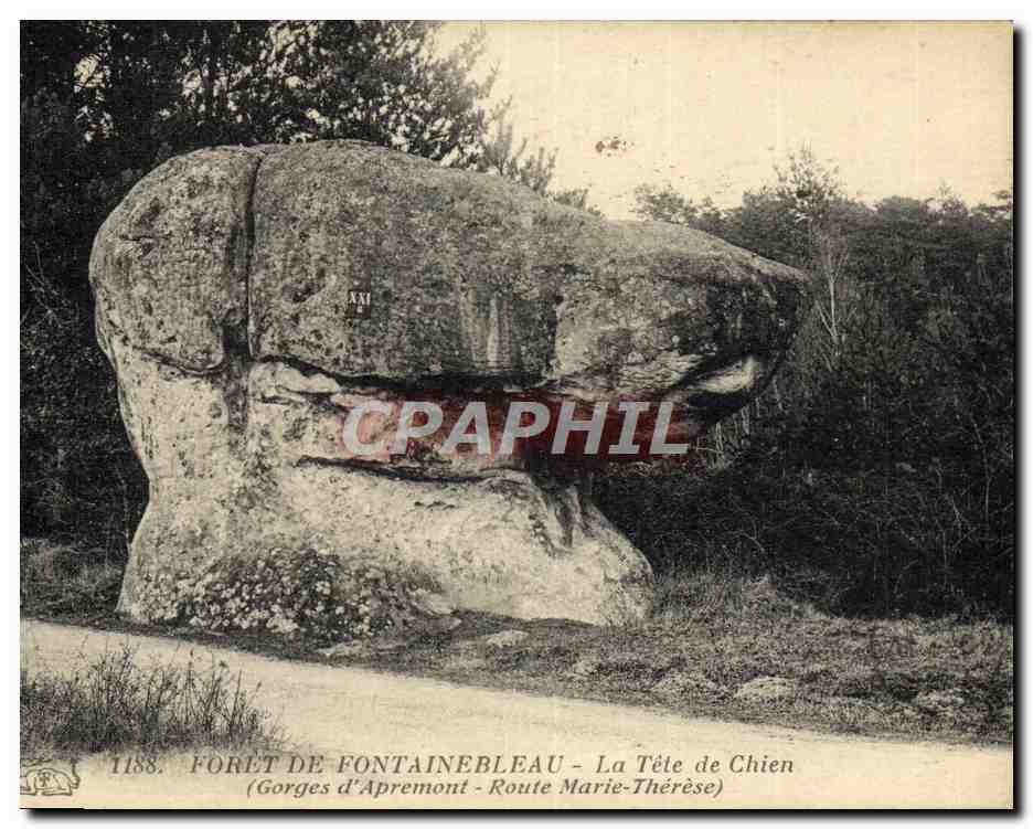 La Cabeza del Perro — Gorges d'Apremont - Calle Marie-Thérèse — BOSQUE DE FONTAINEBLEAU