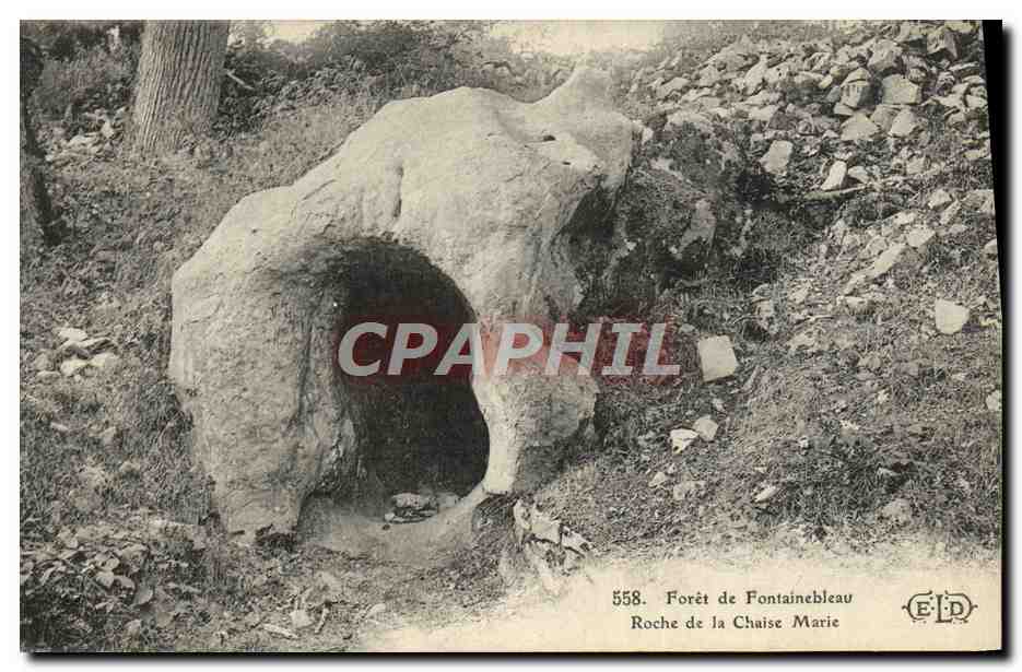 Bosque de Fontainebleau — Roca de la Silla de María — Editor E.D. n° 558