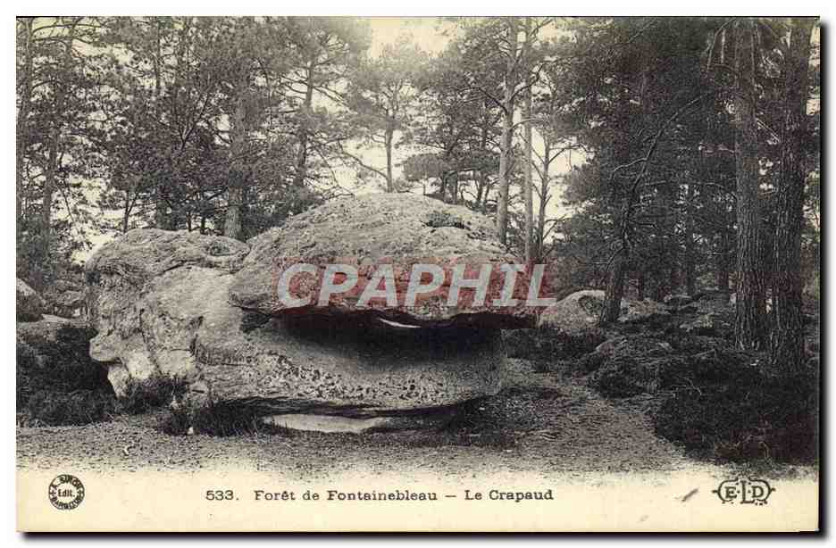 Wald von Fontainebleau — Der Kröte — Verlag E.D. n°533