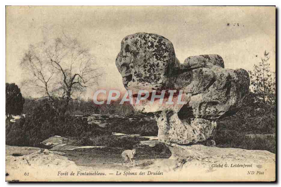 Foresta di Fontainebleau — Il Sfinge dei Druidi — Cliché G. Leidenfrost