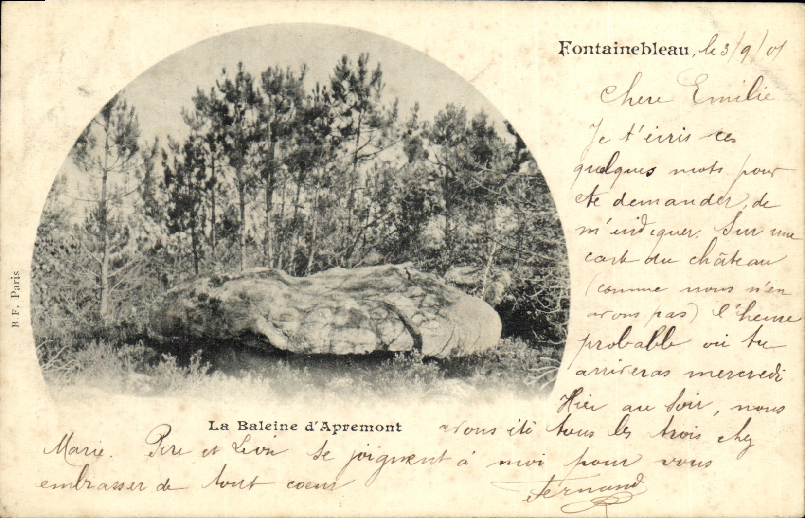 La Baleine d'Apremont — Fontainebleau — B.F. Paris